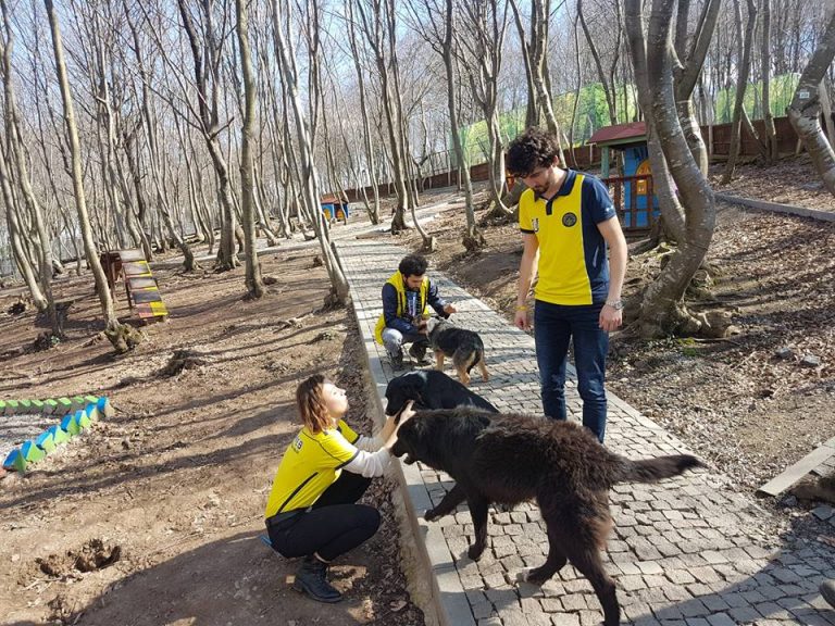 1907 ÜNİFEB 19 MAYIS ÜNİVERSİTESİ HAYVAN BARINAĞI ZİYARETİ 1907 ÜNİFEB
